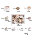 Assortiment natuurlijke zeeschelpen en slakken voor doe-het-zelf knutselen en decoratie, 30g - 1-4cm Collectie