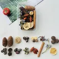 DIY natural dried botanical material kit for forest-themed crafts and Christmas decor - Fruitful Harvest (Style A1)