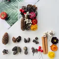 Natural DIY dried flower and plant material kit for Christmas and forest-themed crafts - Fruitful Harvest (Style A2)