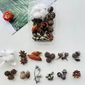 Natural dried plant DIY material kit featuring pinecones, cotton, and star anise for crafts - Fruitful Harvest (Style A3)