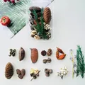 Variety pack of natural dried forest plant materials including pine cones for DIY crafts - Fruitful Harvest (Style A4)