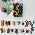 Forest style DIY dried flower material pack including pine cones and cinnamon sticks - Fruitful Harvest (Style A5)
