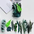 DIY dried flower material pack with various preserved green leaves in a clear box - Leaf Material Box (Style A2)