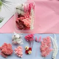 Pink and white dried flower DIY material kit for handmade crafts and home decor - Pink Lady (A Series)