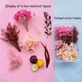 Assorted natural DIY dried flower material kit with pink hydrangeas in a plastic box - Pink Floral Material / One Boxed