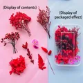 Red DIY dried flower material kit with various plant species in a transparent storage box - Red Makeup Floral Material / One Boxed