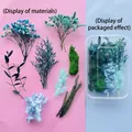 Assorted DIY dried flower material kit including eucalyptus and moss for forest style crafting - Blue Elegance Floral Material / One Boxed