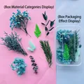 Assorted blue and green dried flower DIY material kit with transparent storage box - Azure Floral Material / One Boxed