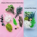 Premium DIY dried flower material kit with moss and hydrangea in a clear storage box - Emerald Floral Material / One Boxed