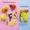 Assorted colorful dried flowers DIY material kit presented in a transparent box - Orange Yellow Floral Material / One Boxed