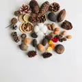 Set of 44 pieces natural dried flowers and cones DIY material kit for forest decor - Style A DIY Kit / 44 Pieces of 23 Types