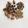 Assorted natural DIY pine cone and acorn cap botanical material kit Package G 120pcs - Acorn Spruce Mix / 120 Pieces/Pack