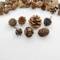 Mix of 35 pieces of dried pine cones and botanical seeds for DIY forest-style crafts. - J3 Fruit Material / 1 Bag (35 Pieces)