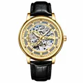 Chenxi men's skeleton automatic mechanical watch with gold case and black leather strap - Gold Case Gold Dial Black Leather Strap