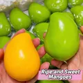 Close-up of color-changing mango squeeze toy showing soft texture and realistic shape - Color-Changing Mango Squishy (Block Style)