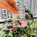 Blueberry squishy toy keychain accessory in transparent bag with purple bead chain - Blueberry Shape Squishy Pendant With Bell