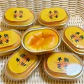 Realistic half-baked cheese cake shaped PU squishy toy with slow rebound effect - Soft Baked Cheese Cake / Yellow