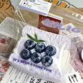 Gedetailleerd overzicht van blauwe bessen toast siliconen squishy speelgoed tegen stress - Bosbessen sandwich