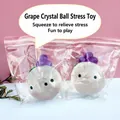 Detailed view of DIY crystal grape squeeze toy in transparent plastic packaging. - Transparent Crystal Ball with Purple Granules