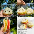 Detailed view of a cute slow-rebound sandwich squishy toy in clear plastic packaging - Sandwich Burger Squishy Toy