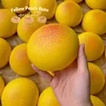 Yellow bun-shaped slow rebound squishy toy for stress relief and sensory play. - Sticky Bun / Butter Color