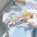4-key mechanical switch fidget keychain with pastel colored switches in clear case - Square Keycaps / Carousel