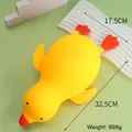 Canard