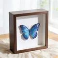 Dettaglio della cornice in legno 3D che mostra la trama e la farfalla blu. - Cavo 3cm (Interno: 15x15cm) / Colore noce / Quadrato 6 Pollici