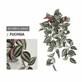 Fuchsia artificial hanging plant with 96 leaves for forest style wall decoration - Fuchsia Purple Brow Leaf Vine / 96 Leaves