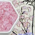Macroweergave van roze maanvormige glazen kralen voor handgemaakte sieraden en DIY-crafts - Maan Stijl (L621#) / 10x14x5mm / Roze