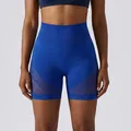Naadloze koningsblauwe yogashort met hoge taille en ademende mesh-panelen voor fitnesstraining - S / Bottoms / Klein Blauw