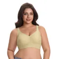 Leopard print seamless plus size bra in light yellow-green with jelly glue support - 3XL / Tops / Green Leopard