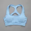 Premium seamless racerback yoga sports bra in baby blue color for women fitness - S / Tops / Light Blue