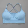 Light blue seamless yoga sports bra with stylish cross-back design for daily gym workout - S / Tops / Light Blue (Criss-cross Back)