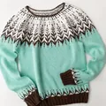 Primo piano del maglione in maglia Fair Isle verde menta con motivi marroni e bianchi - 3XL / Top / Verde Menta a Blocchi di Colore (8613-Menta)