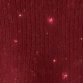 Primo piano dettagliato del tessuto a maglia bordeaux con fili glitterati argento scintillanti - XS / Top / Rosso