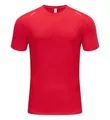 Men's quick-dry sports T-shirt in red, crew neck athletic top for running and fitness. - China Red