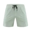 Light green quick-dry men's sports shorts with adjustable black drawstring waist - M / Bottoms / Moss Green