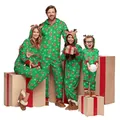Festive family matching Christmas hooded onesies with reindeer and snowflake print - Dad-S / Top And Bottom / Green