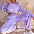 Stylish light purple two-piece cropped hoodie and sweatpants set shown on model - S / Top And Bottom / Purple