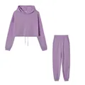 Zweiteiliges lila Sportset mit bauchfreiem Langarm-Kapuzenpullover und passender Jogginghose. - S / Oberteil Und Unterteil / Lila