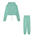 Mintgrüner zweiteiliger Damen-Trainingsanzug mit kurzem Kapuzenpullover und Jogginghose - Grün