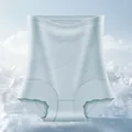 Breathable seamless ice silk high waist tummy control panties for women in light blue finish - M / Bottoms / Light Blue