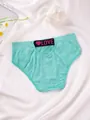 Breathable mint green seamless low-waist panties with pink heart LOVE waistband label - S / Bottoms / Set of 3 / Aqua Blue