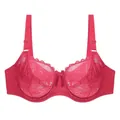 Detailed view of the intricate floral lace and mesh pattern on this plus size bra. - 38/85D / Tops / Double Row Hooks / Burgundy