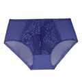 High-quality detail view of plus size women's lace briefs in elegant dark purple color - Dark Blue