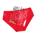 Vibrant red lace mid-waist panties featuring a delicate floral embroidery design - 0XL / Bottoms / Red