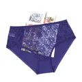 High-waisted purple lace panties with floral embroidery for a sexy look - 0XL / Bottoms / Blue