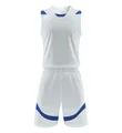 Professional white basketball jersey and shorts set with blue accents for training - L / Top And Bottom / White