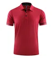 Red ice-feel sports polo shirt for men with quick-dry and breathable fabric detail - S / Tops / Red